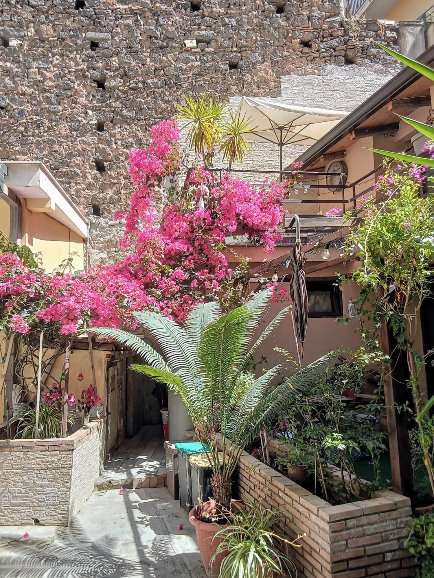 Mizzicahome Solemare CTA Exteriér fotografie